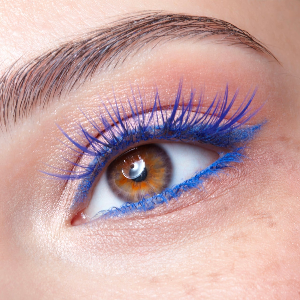 0a4e31b9 9beb 4f00 8a4b 51b9e3e9bc16