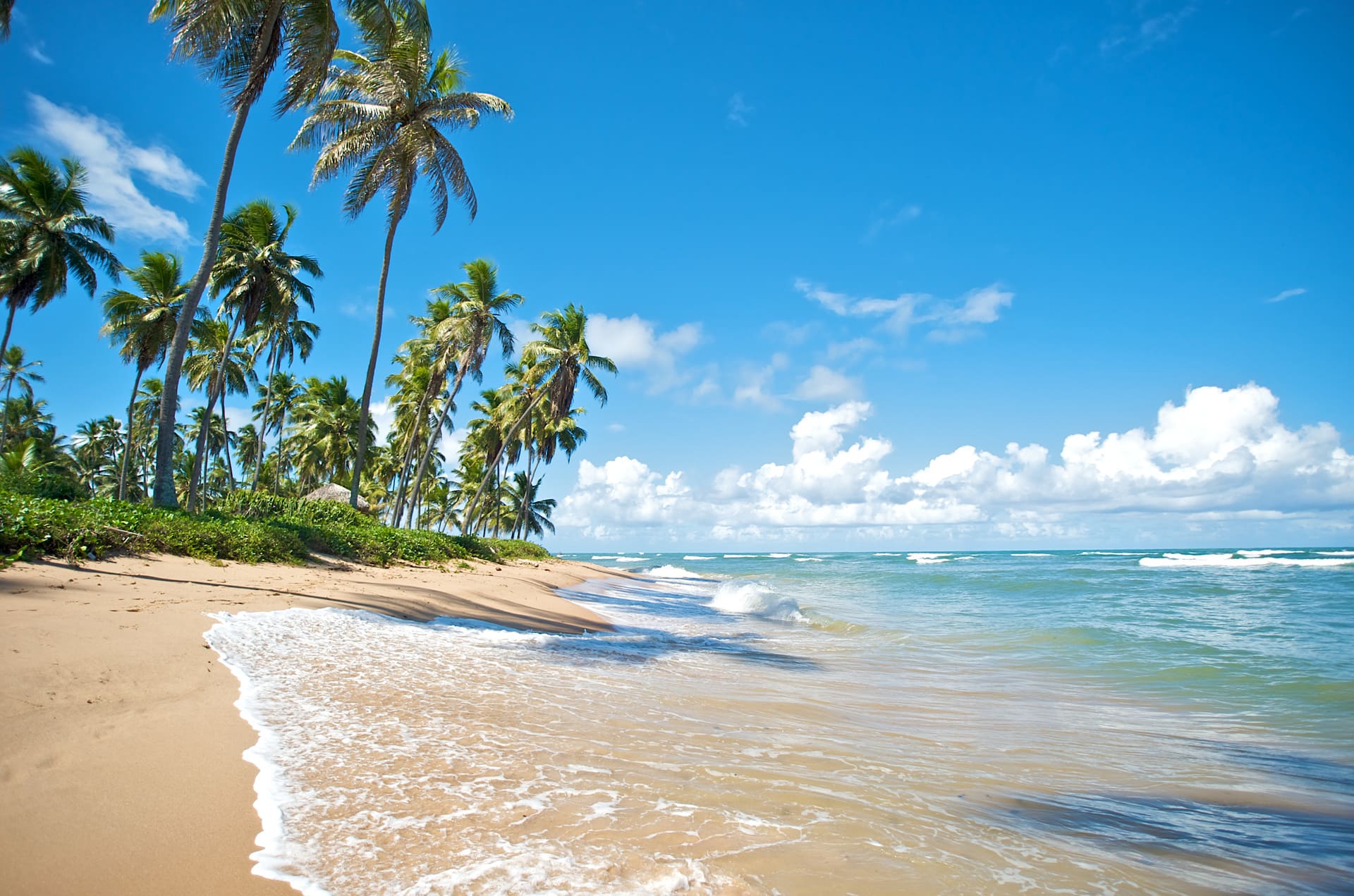 plage salvador de bahia