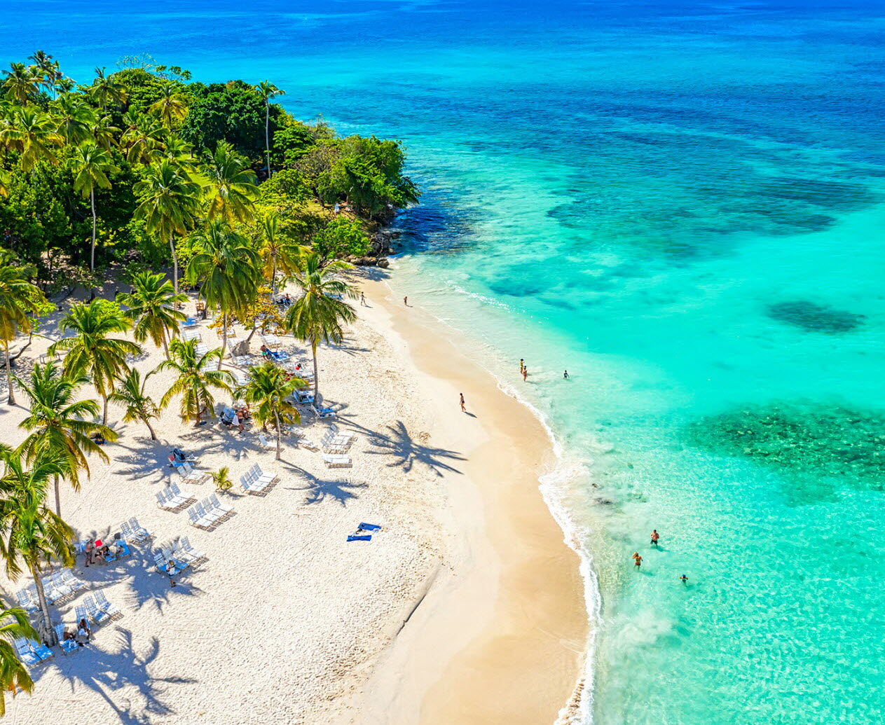 une plage de la petite ile de cayo levantado a samana en republique dominicaine photo shutterstock nikolay antonov 1641062174